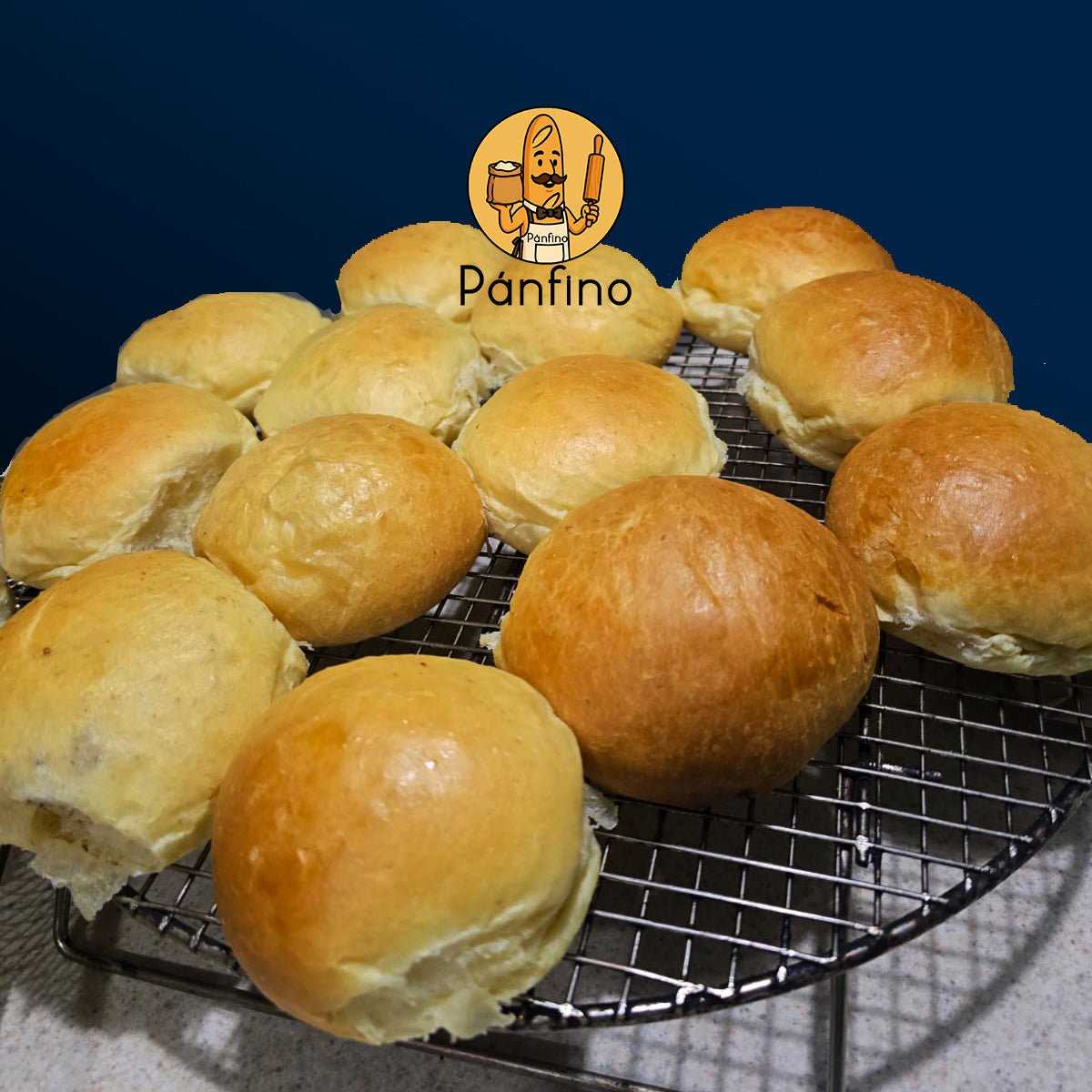 Pan Brioche